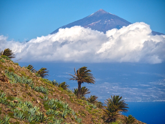 ADELANTO PRIMAVERA - TENERIFE DESDE BILBAO