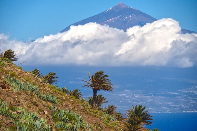 TENERIFE DESDE BILBAO 